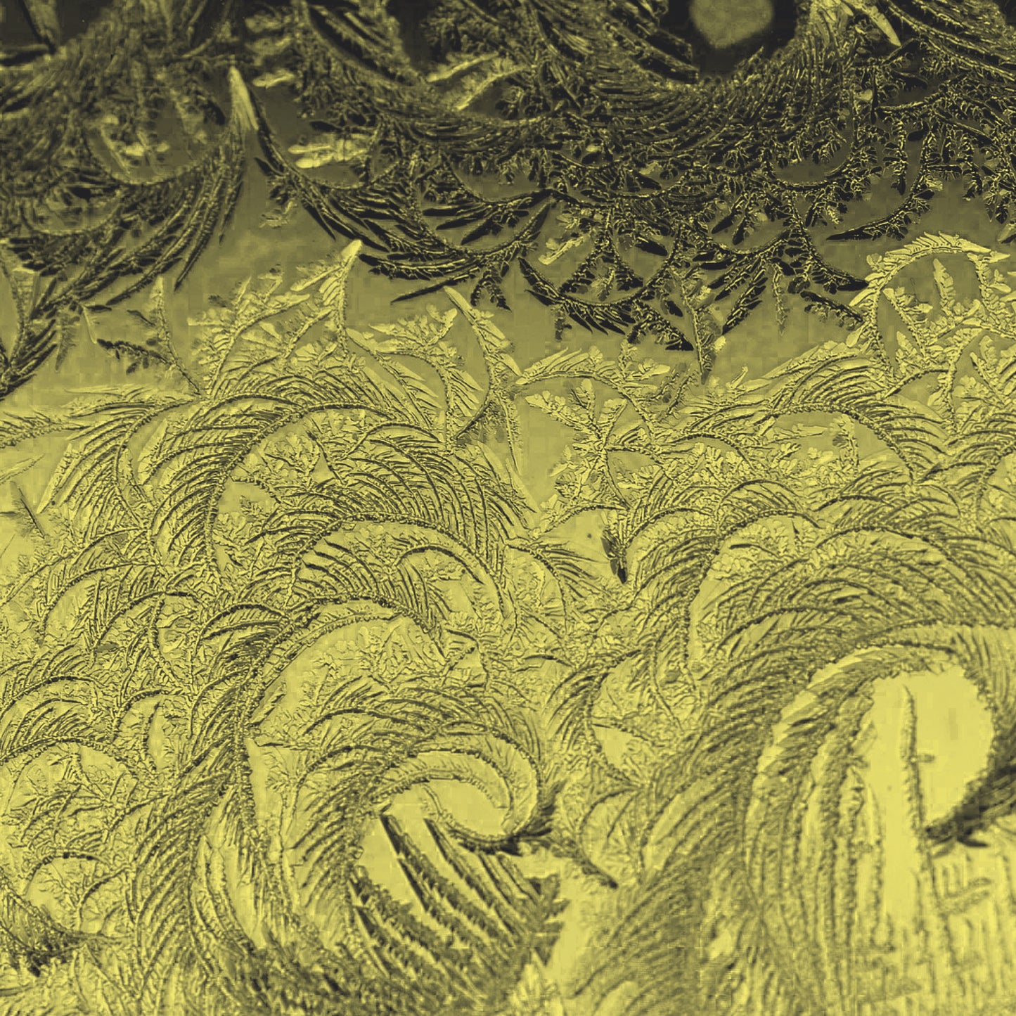 Invenção de itinerários – oficina de escritas performáticas